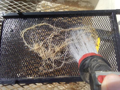root washing
